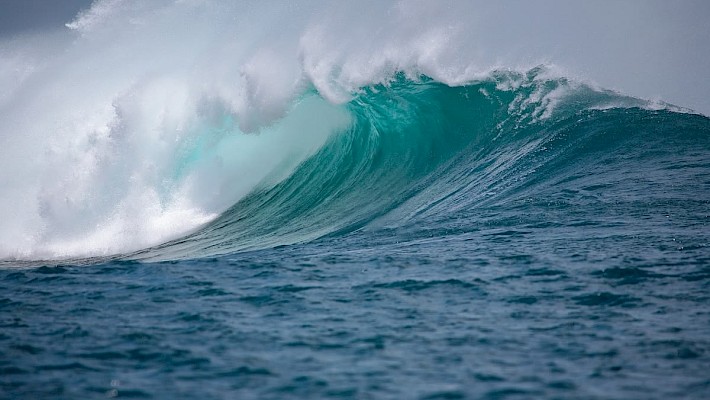 Die Welle